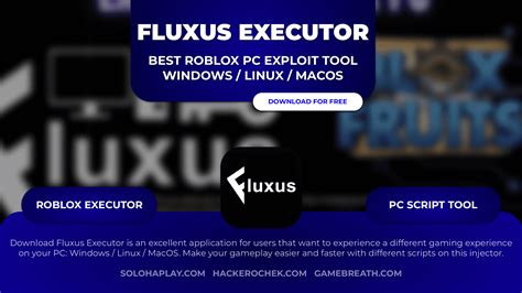 fluxus injector|fluxus executor windows.